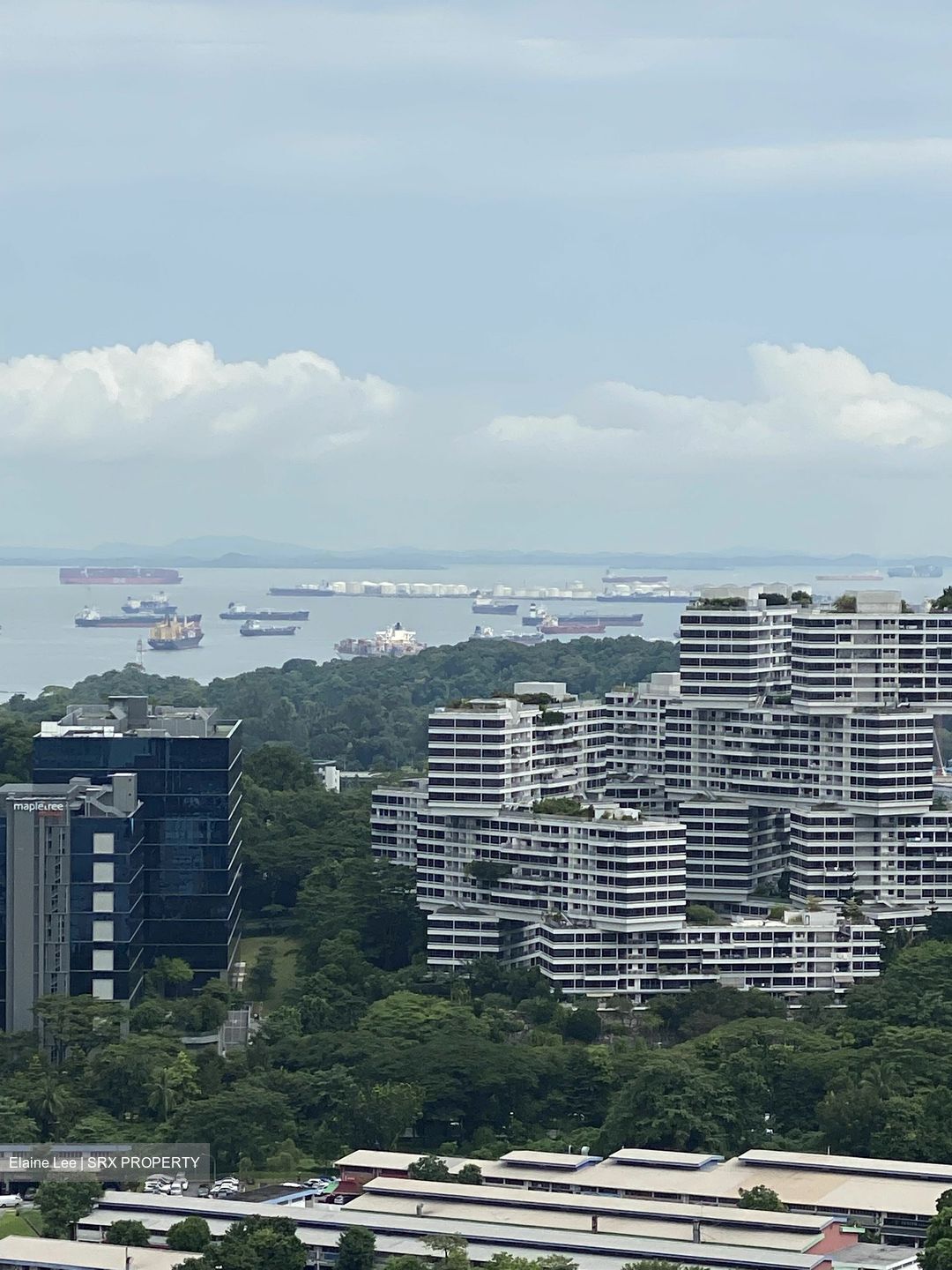 Stirling Residences (D3), Apartment #635041941